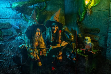 Квест «Гарри: Тайна Запретного леса»